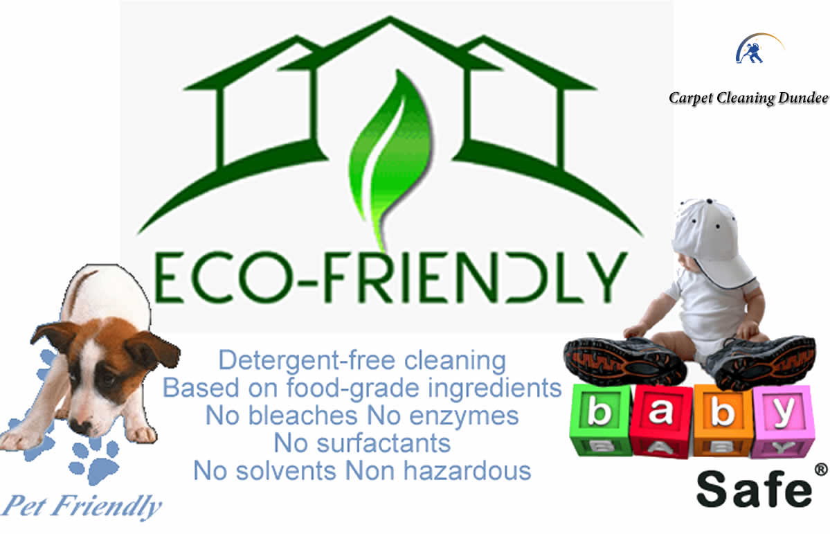 pet & child friendly green cleaning solutions