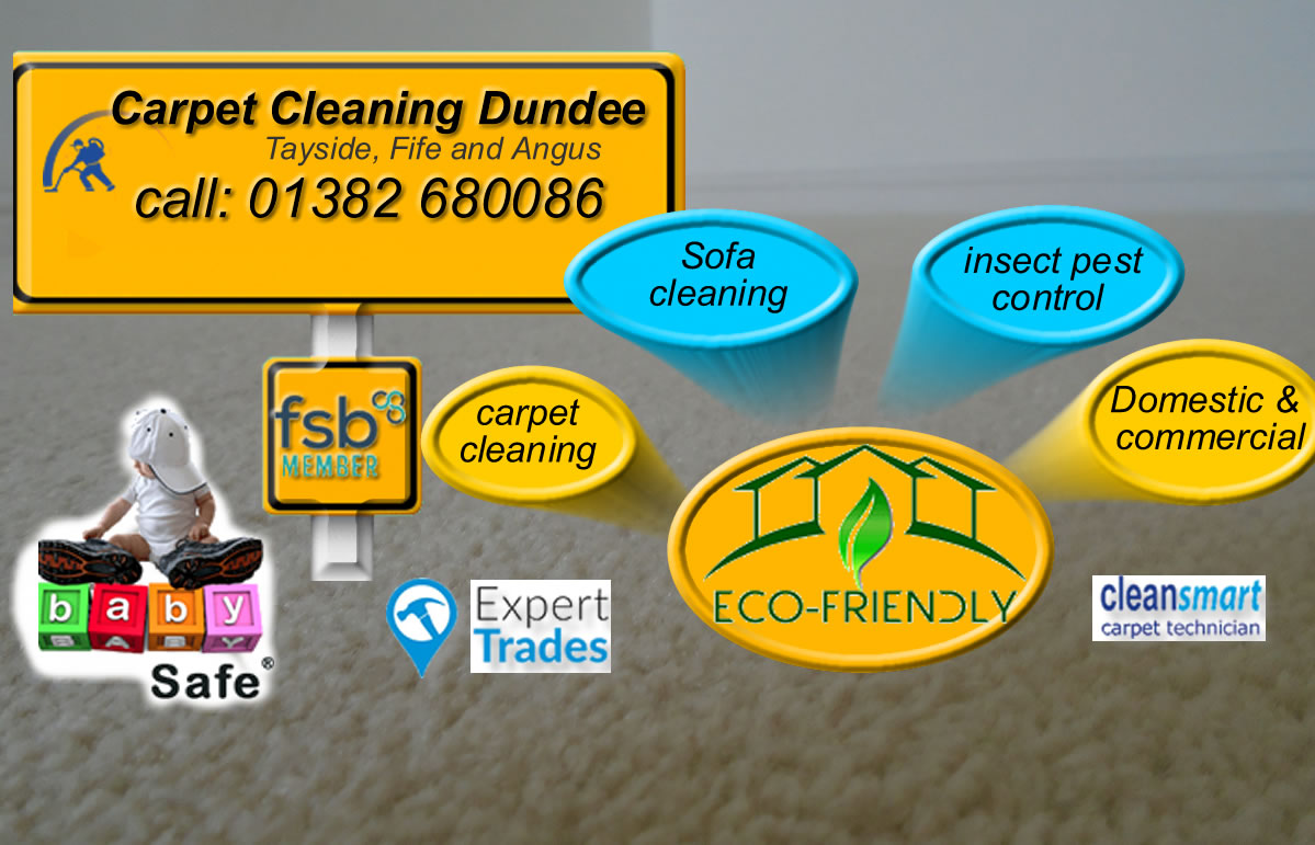 domestic and commercial cleaning services